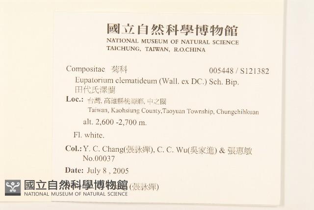 田代氏澤蘭藏品圖，第2張