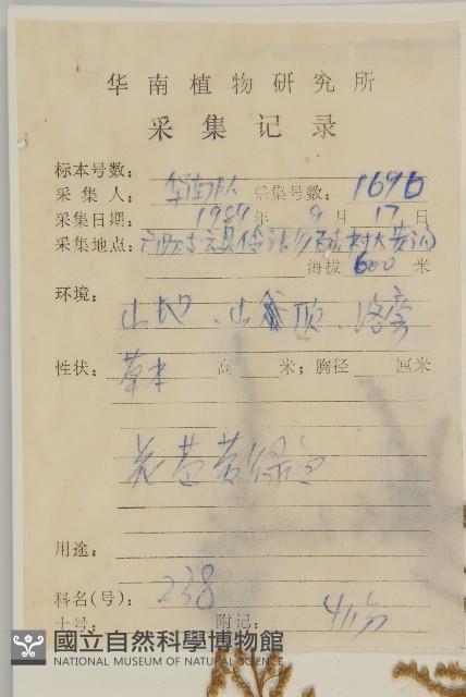 牡蒿藏品圖，第2張