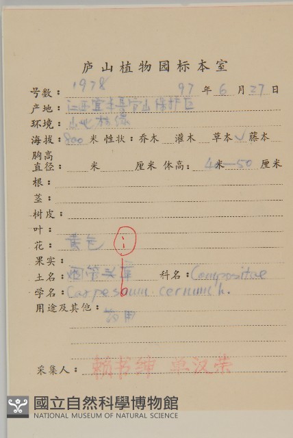 杓兒菜藏品圖，第2張