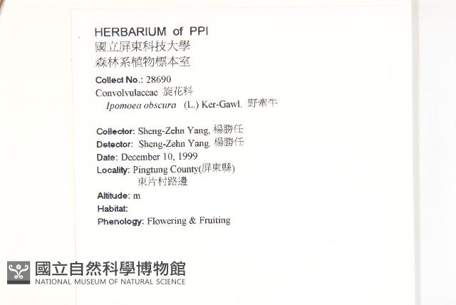 野牽牛藏品圖，第2張