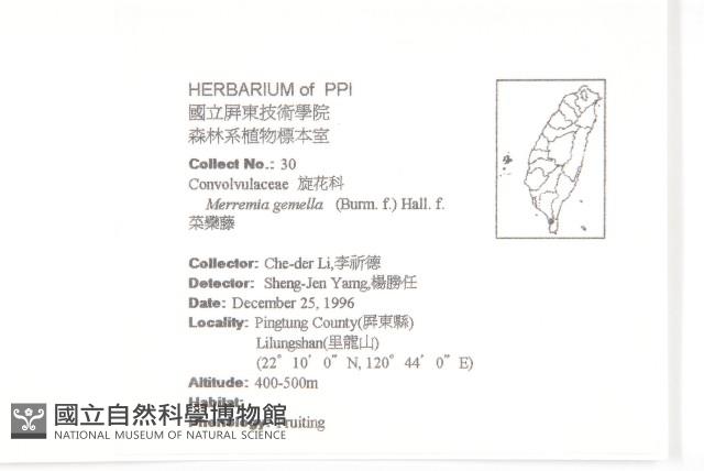 菜欒藤藏品圖，第2張