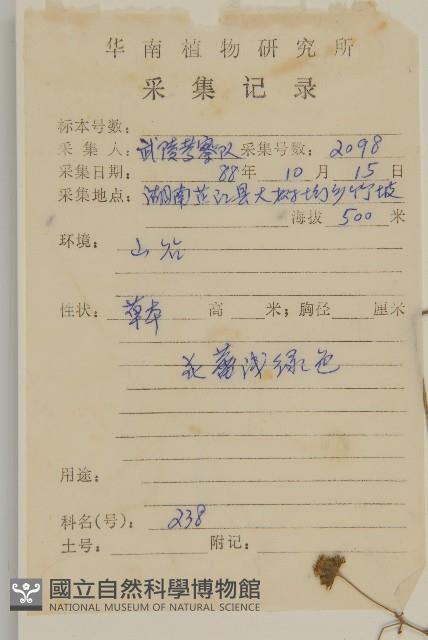 下田菊藏品圖，第2張