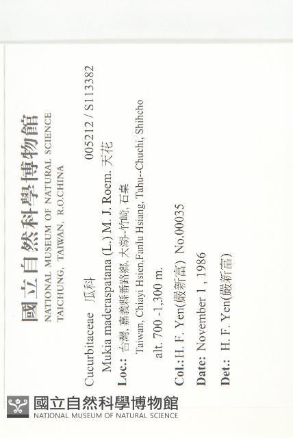 天花藏品圖，第2張