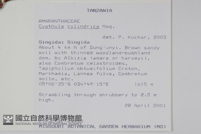 登錄號:S093382藏品圖，第2張