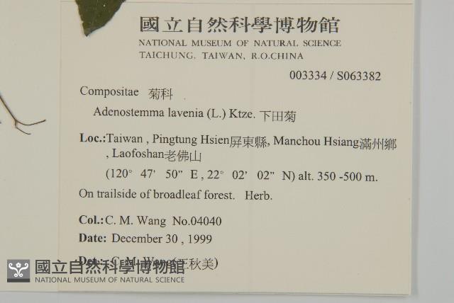 下田菊藏品圖，第2張