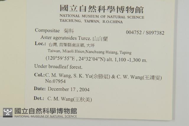 山白蘭藏品圖，第2張