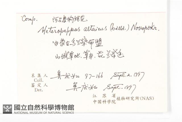 阿爾泰狗哇花藏品圖，第2張