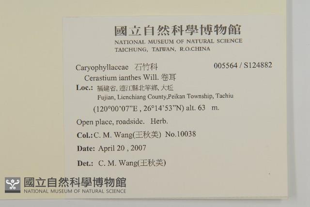 卷耳藏品圖，第2張