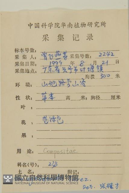 山白蘭藏品圖，第2張