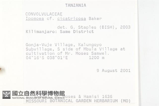 登錄號:S093882藏品圖，第2張