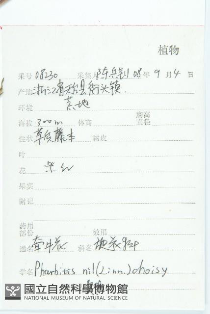 裂葉牽牛藏品圖，第2張