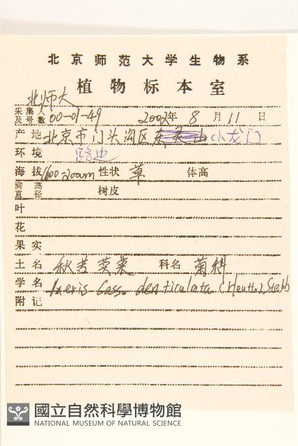 苦實菜藏品圖，第2張