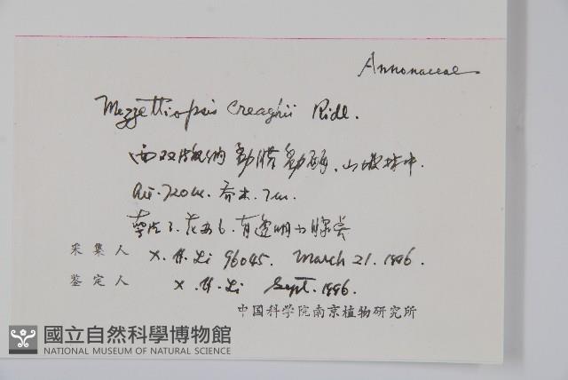 蟻花藏品圖，第2張