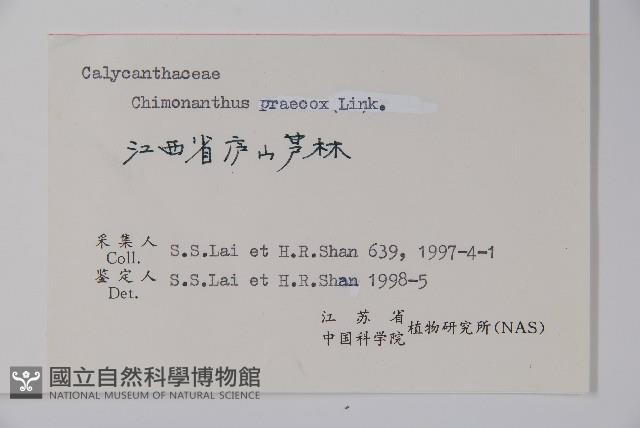 臘梅藏品圖，第2張