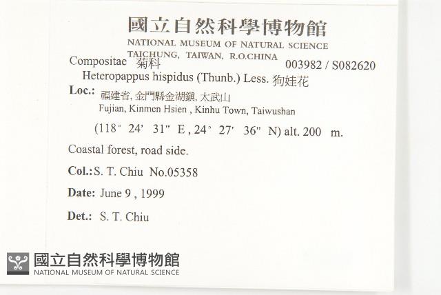 狗娃花藏品圖，第2張