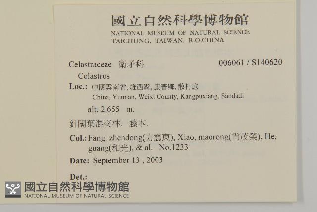 登錄號:S140620藏品圖，第2張