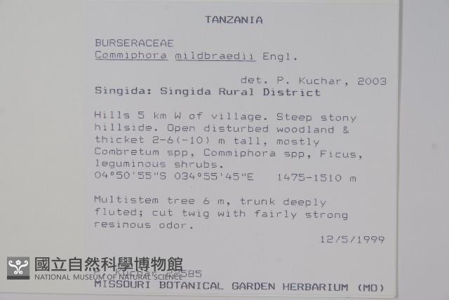 登錄號:S093620藏品圖，第2張