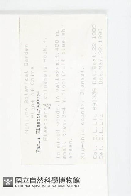 華杜英藏品圖，第2張