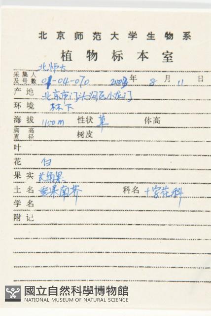 硬毛南芥藏品圖，第2張