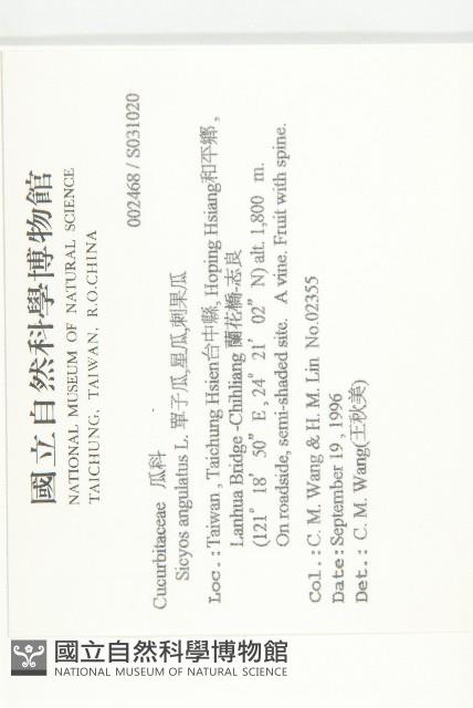 單子瓜、星瓜、刺果瓜藏品圖，第2張