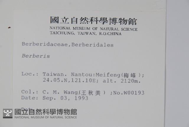 日本小檗藏品圖，第2張