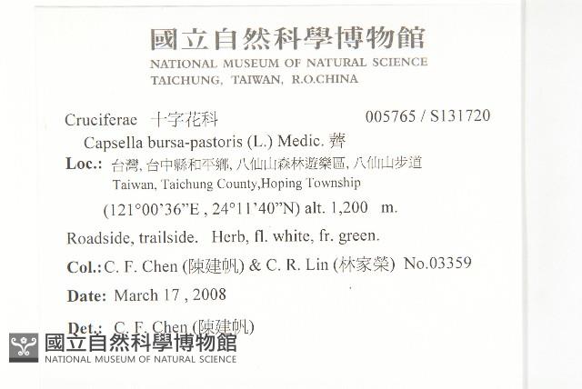 薺藏品圖，第2張