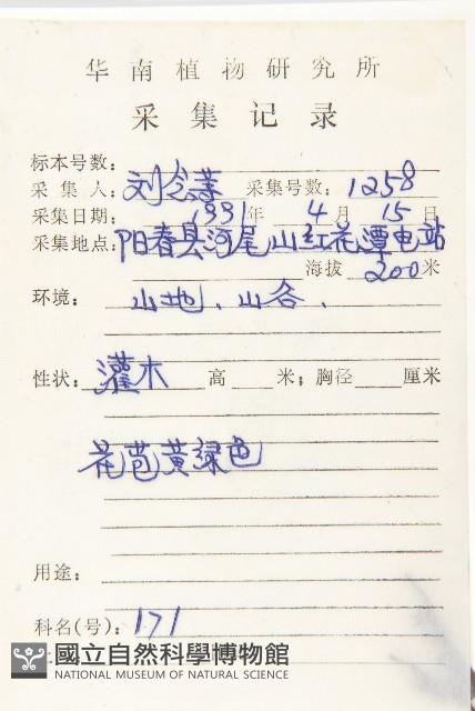 楓港柿藏品圖，第2張