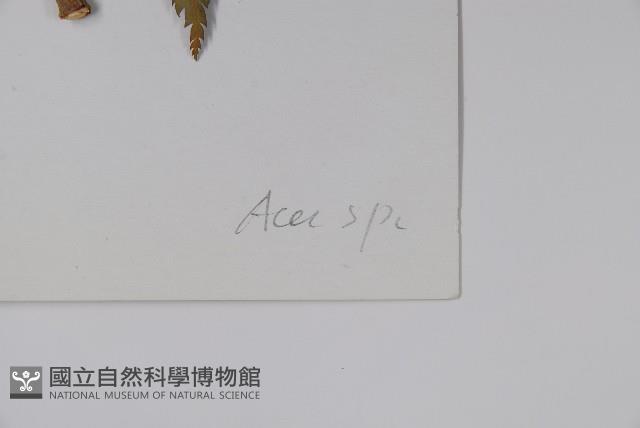 登錄號:S023220藏品圖，第2張