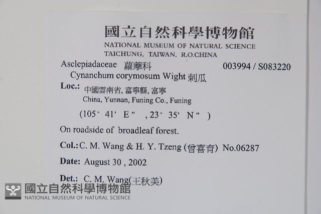 刺瓜藏品圖，第2張