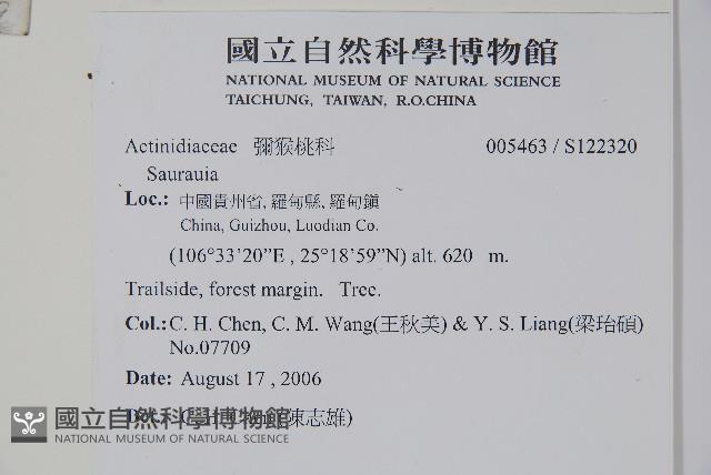 登錄號:S122320藏品圖，第2張