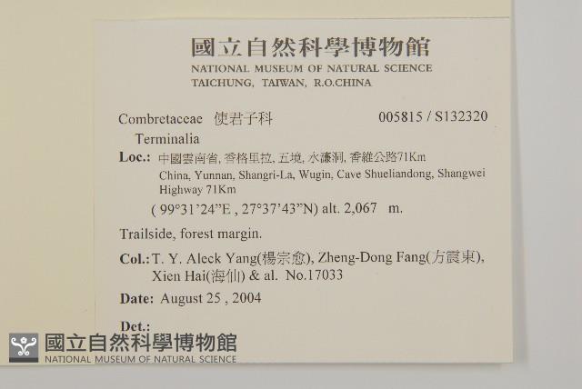 登錄號:S132320藏品圖，第2張