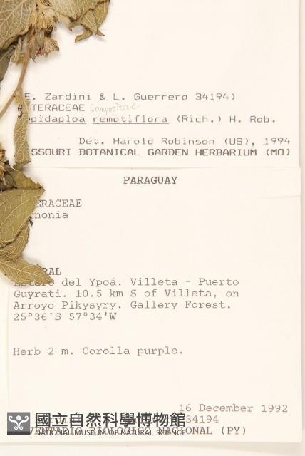 登錄號:S062320藏品圖，第2張