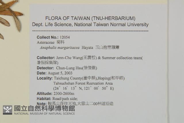 抱莖籟簫藏品圖，第2張