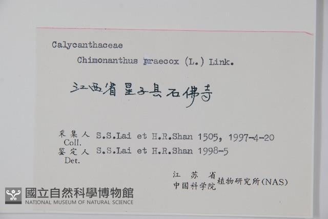 臘梅藏品圖，第2張