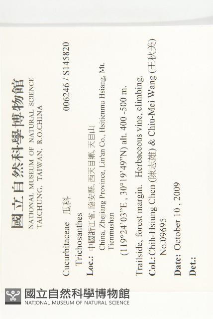 登錄號:S145820藏品圖，第2張