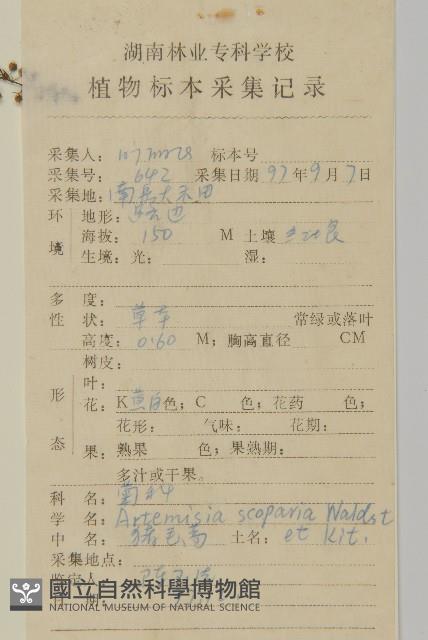 黃蒿藏品圖，第2張