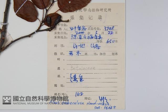 江南榿木藏品圖，第2張