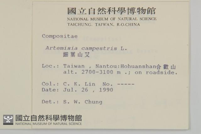 高山艾藏品圖，第2張