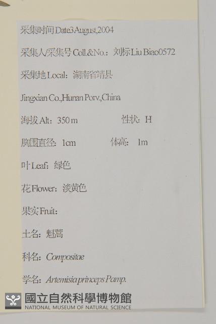 魁蒿藏品圖，第2張