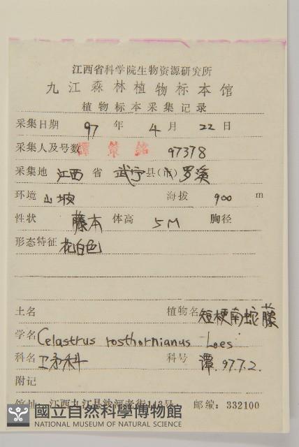 短梗南蛇藤藏品圖，第2張