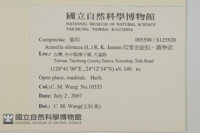 印度金鈕扣、鐵拳頭藏品圖，第2張