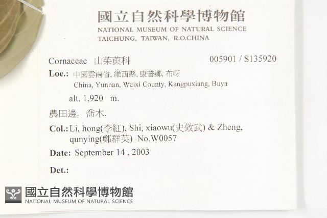 登錄號:S135920藏品圖，第2張