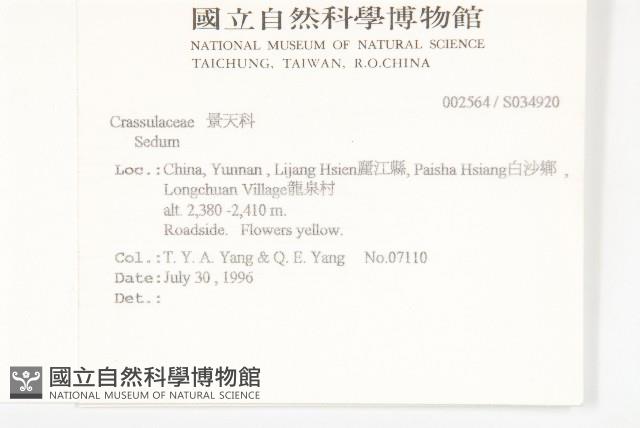 登錄號:S034920藏品圖，第2張