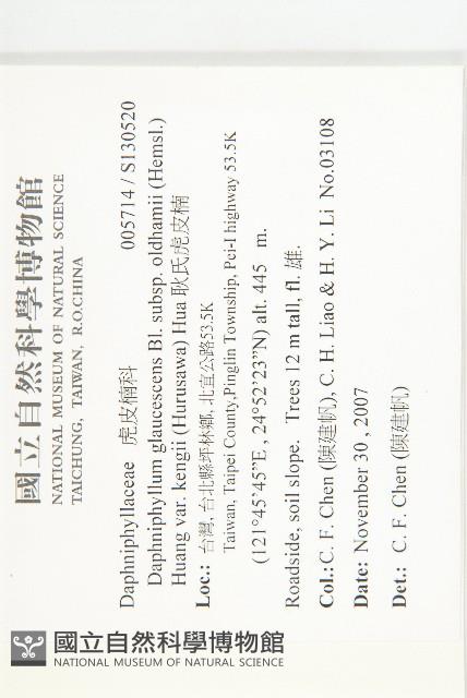 耿氏虎皮楠藏品圖，第2張