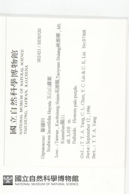 玉山山蘿蔔藏品圖，第2張