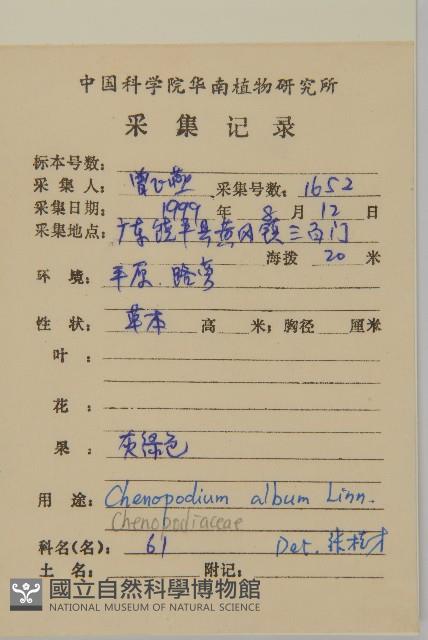 藜、灰藜藏品圖，第2張