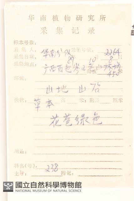 六角草藏品圖，第2張