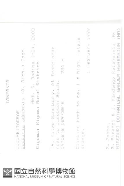 登錄號:S093600藏品圖，第2張