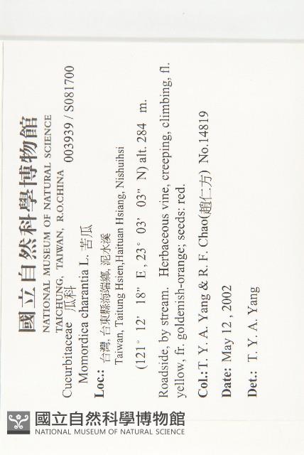 苦瓜藏品圖，第5張