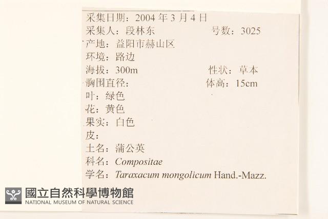蒲公英藏品圖，第2張